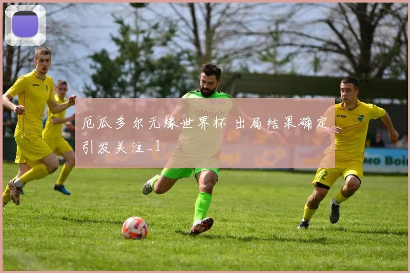 厄瓜多尔无缘世界杯 出局结果确定引发关注_1