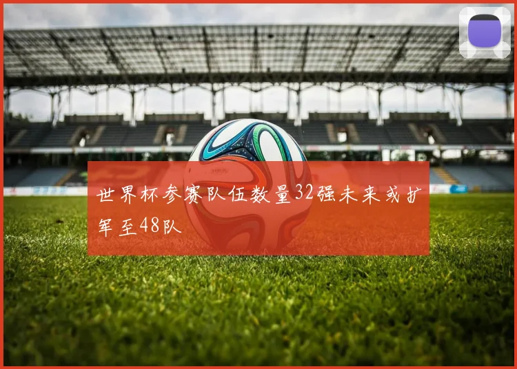 世界杯参赛队伍数量32强未来或扩军至48队