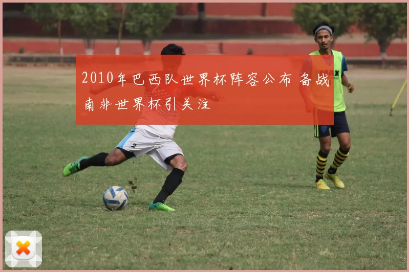 2010年巴西队世界杯阵容公布 备战南非世界杯引关注