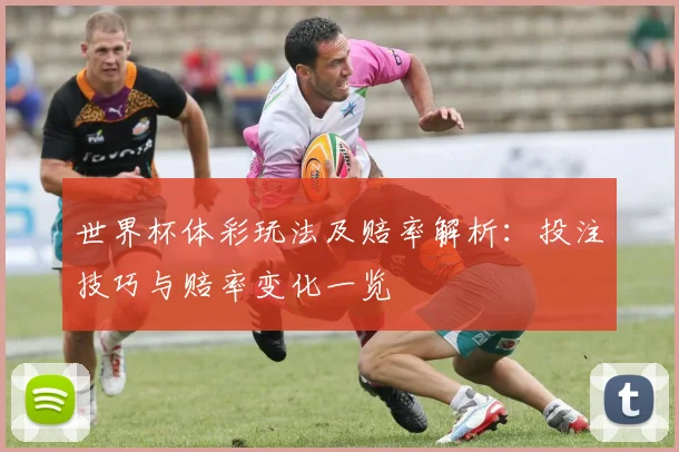世界杯体彩玩法及赔率解析:投注技巧与赔率变化一览